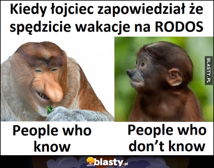 Kiedy łojciec zapowiedział, że spędzicie wakacje na RODOS, ci co wiedzą małpa nosacz, ci co nie wiedzą Pioter