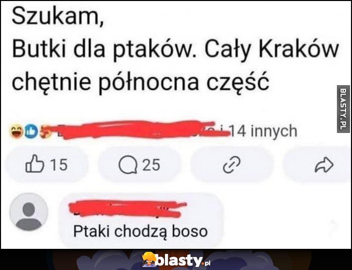 Szukam butki dla ptaków, komentarz: ptaki chodzą boso