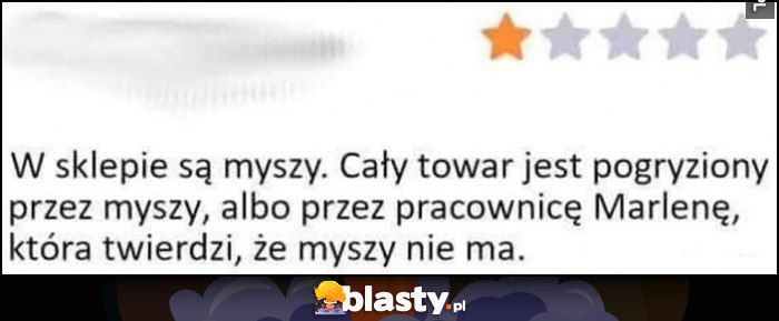 W sklepie są myszy, cały towar pogryziony przez myszy, albo przez pracownicę Marlenę, która twierdzi, że myszy nie ma