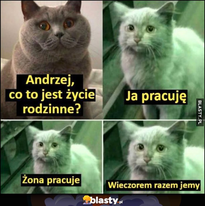 Andrzej, co to jest życie rodzinne? Ja pracuję, żona pracuje, wieczorem razem jemy