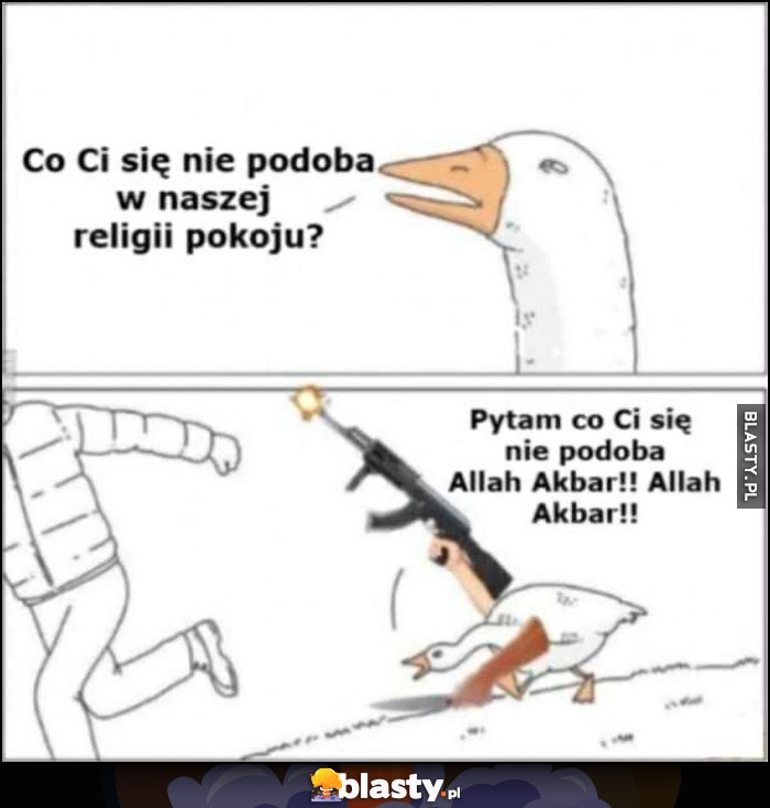 Gęś z karabinem: co Ci się nie podoba w naszej religii pokoju? Pytam co Ci się nie podoba Allah Akbar