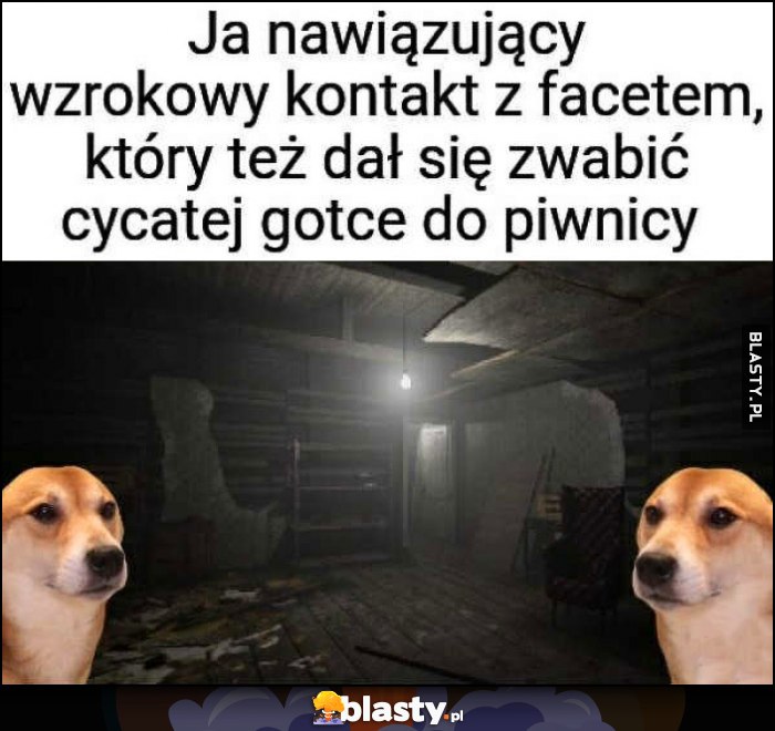 Ja nawiązujący kontakt wzrokowy z facetem, który też dał się zwabić cycatej gotce do piwnicy pies pieseł psy