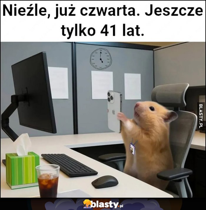 Nieźle, już czwarta, jeszcze tylko 41 lat chomik w pracy