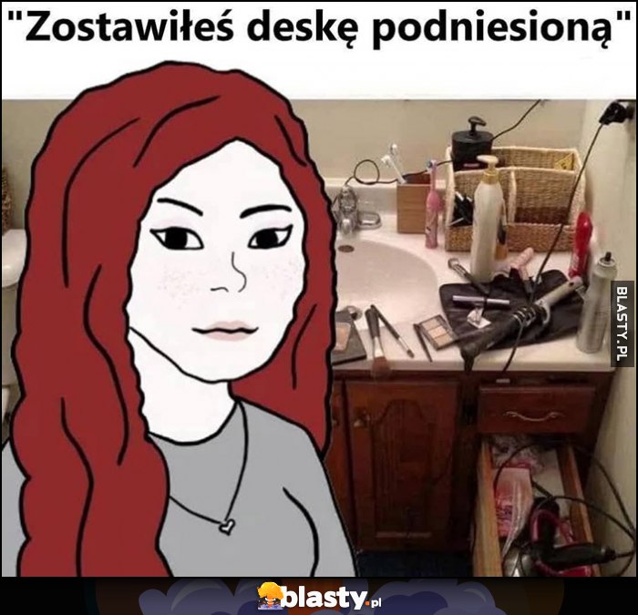 Typowa laska dziewczyna: zostawiłeś deskę podniesioną a sama ma bałagan