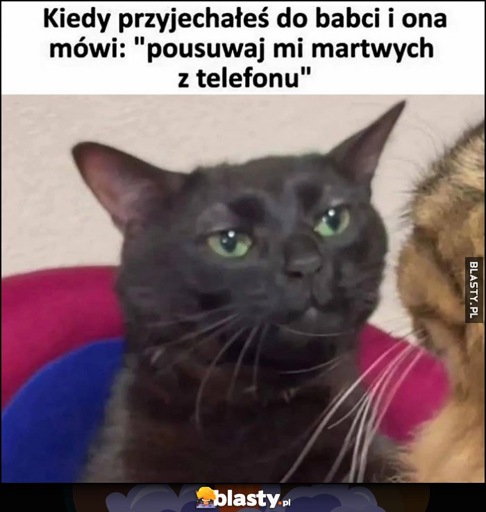 Kiedy przyjechałeś do babci i ona mówi 