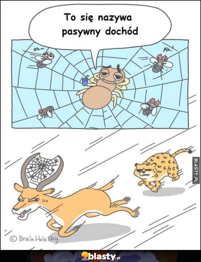 Antylopa ucieka przed tygrysem, pająk na porożu: to się nazywa dochód pasywny