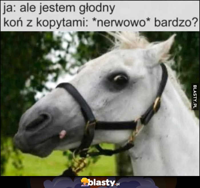 Ja: ale jestem głodny, koń z kopytami *nerwowo*: bardzo?