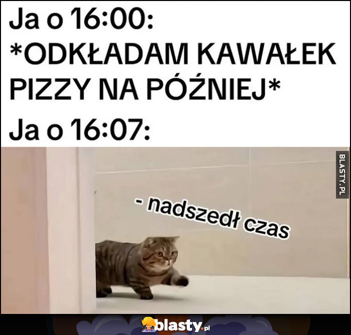 Ja o 16:00: odkładam kawałek pizzy na później, ja o 16:07: nadszedł czas kot kotek