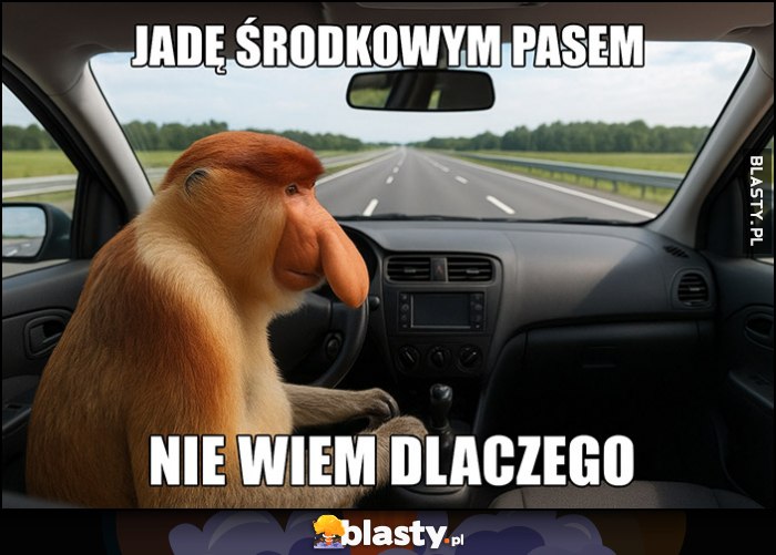 Jadę środkowym pasem, nie wiem dlaczego Polak małpa nosacz kierowca