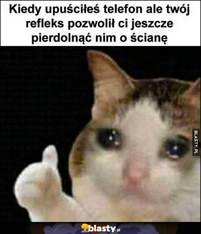 Kot kotek: kiedy upuściłeś telefon ale twój refleks pozwolił ci jeszcze pierdzielnąć nim o ścianę