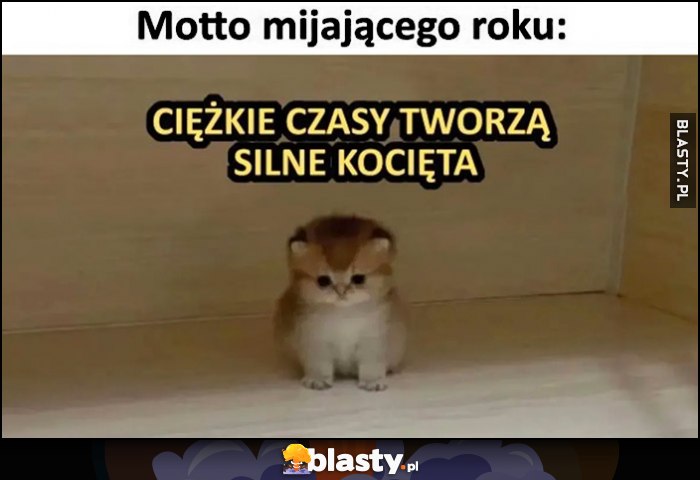 Motto mijającego roku: ciężkie czasy tworzą silne kocięta