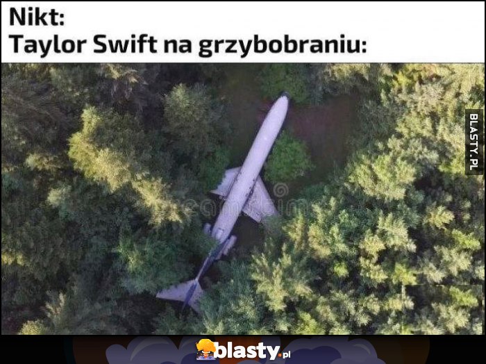 Nikt, Taylor Swift na grzybobraniu samolot w lesie