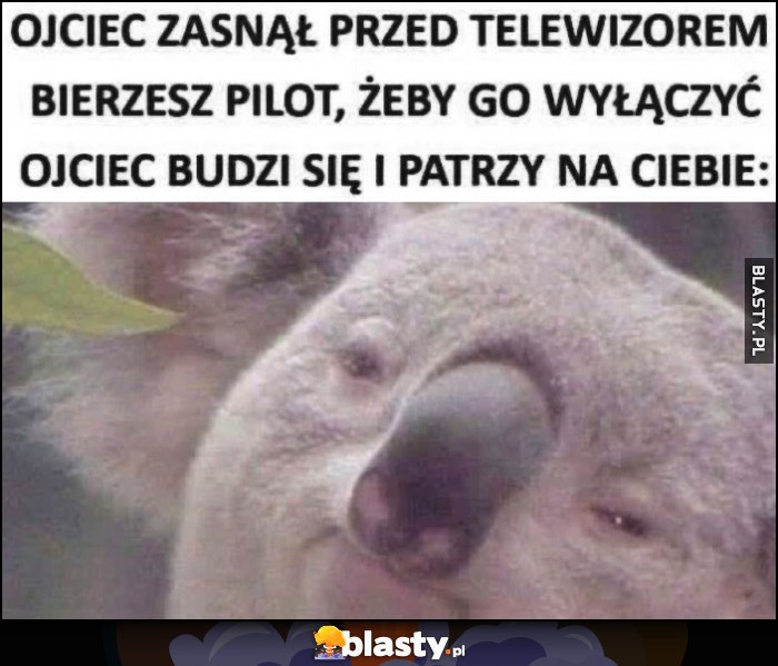 Ojciec zasnął przed telewizorem, bierzesz pilota, zeby go wyłączyć, ojciec budzi się i patrzy na ciebie koala