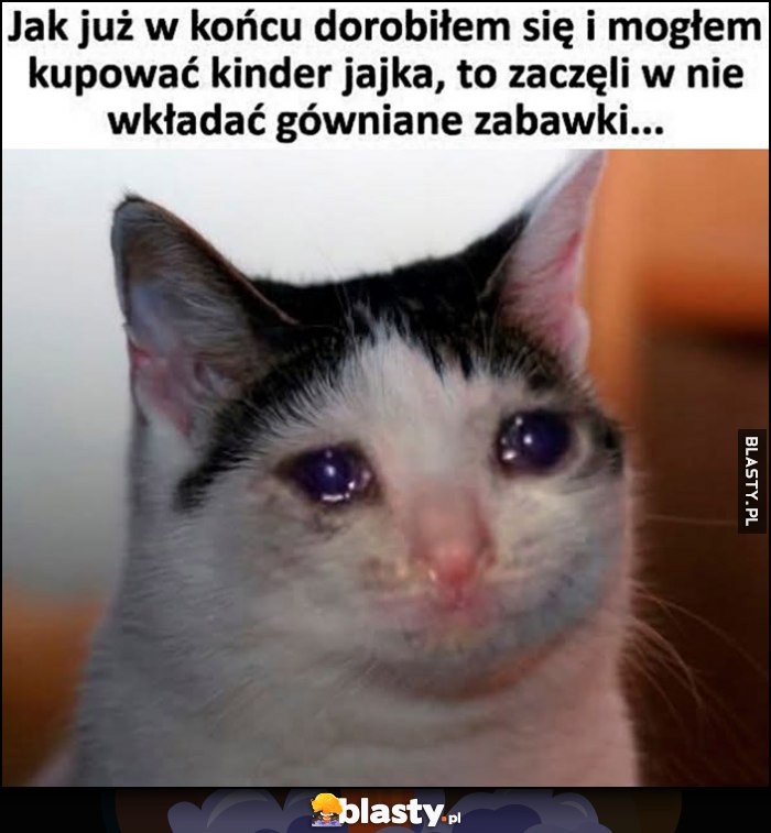 Jak już w końcu dorobiłem się i mogłem kupować kinder jajka, to zaczęli w nie wkładać gówniane zabawki kot kotek płacze