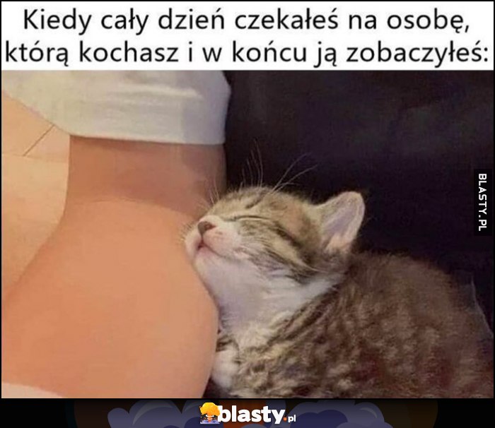 Kiedy cały dzień czekałeś na osobę, którą kochasz i w końcu ją zobaczyłeś kot kotek przytula się