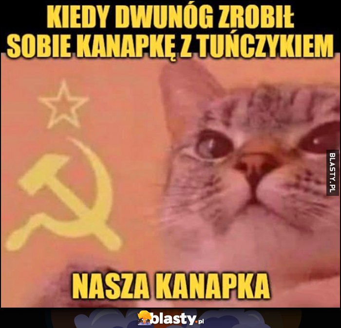 Kiedy dwunóg zrobił sobie kanapkę z tuńczykiem, kot: nasza kanapka komunista