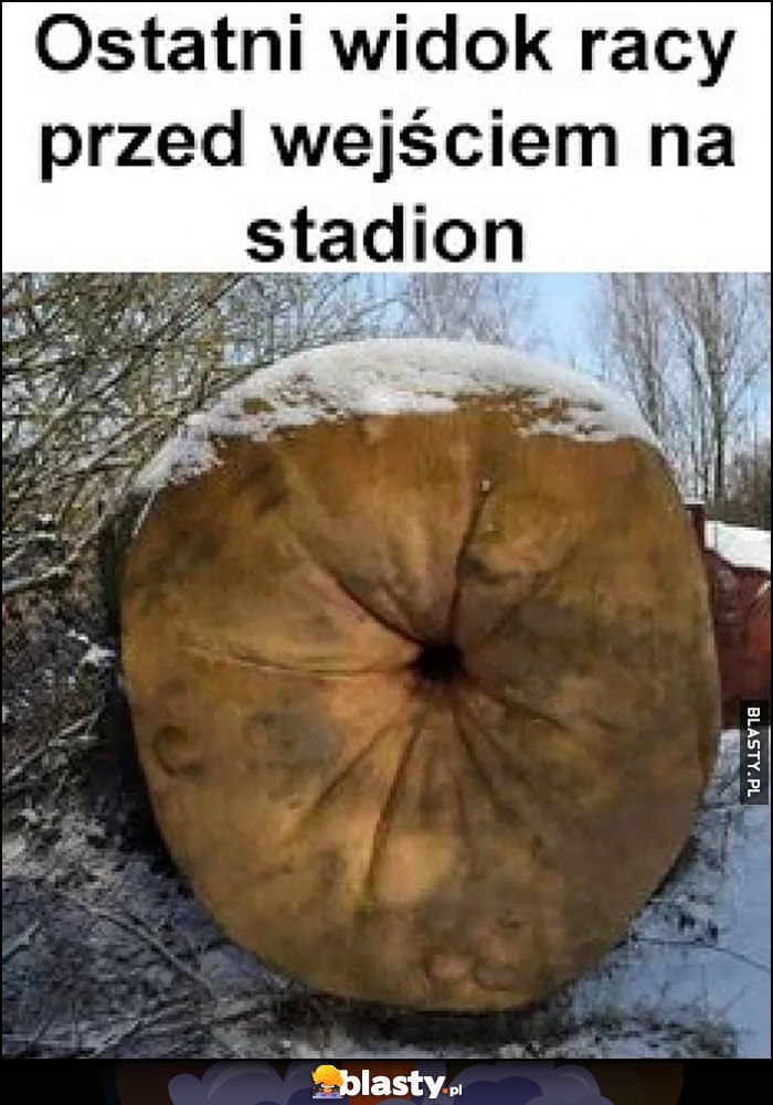 Ostatni widok racy przed wejściem na stadion