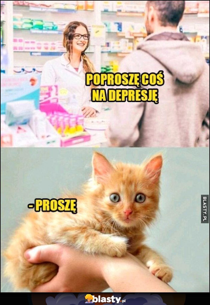 Poproszę coś na depresję, farmaceuta: proszę oto słodki kotek
