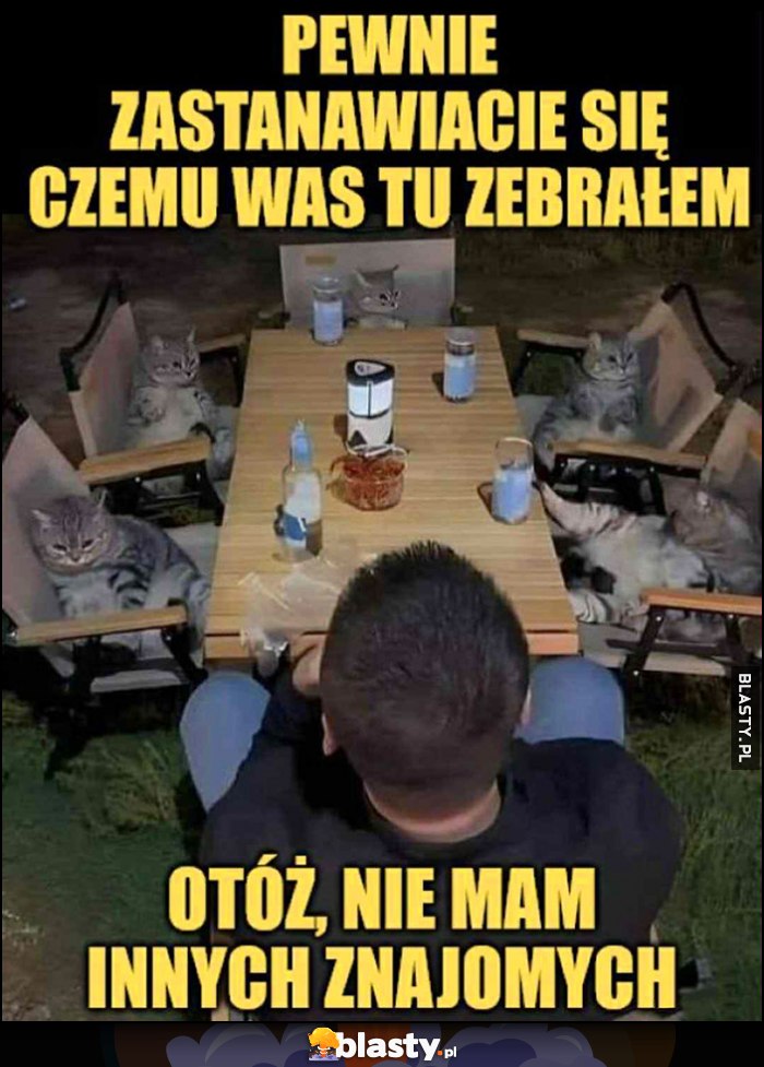 Spotkanie z kotami: pewnie zastanawiacie się czemu was tu zebrałem, otóż nie mam innych znajomych