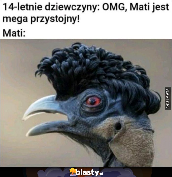 14-letnie dziewczyny: omg, Mati jest mega przystojny, tymczasem jak wygląda Mati