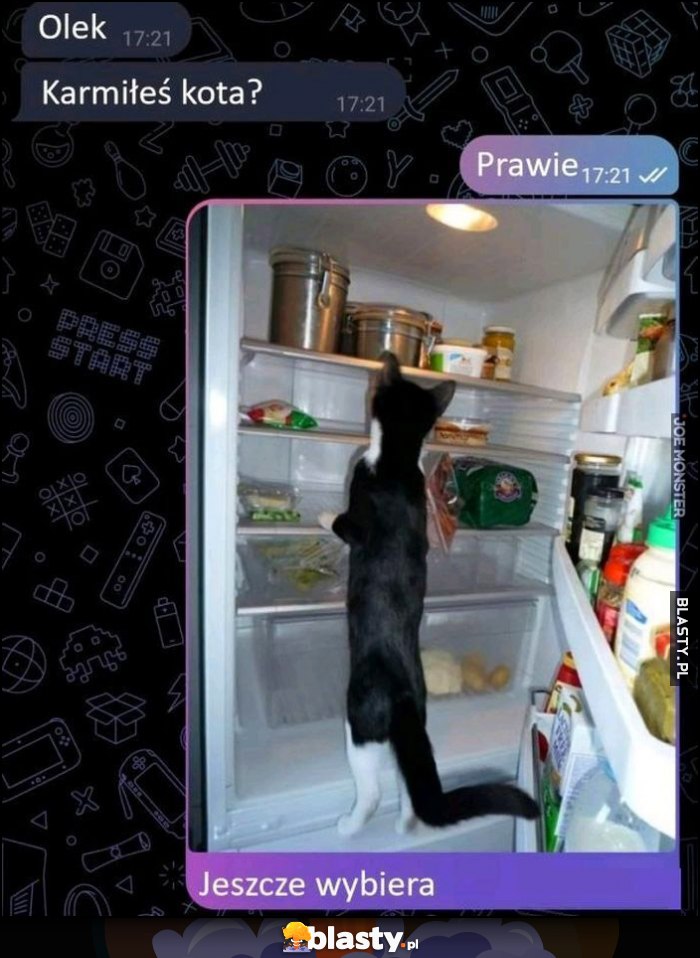 Karmiłeś kota? Prawie, jeszcze wybiera w lodówce