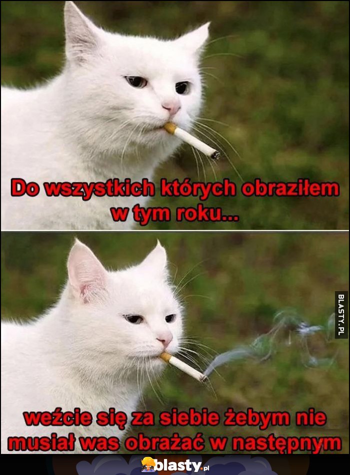 Kot kotek z papierosem: do wszystkich których obraziłem w tym roku, weźcie się za siebie żebym nie musiał was obrażać w następnym