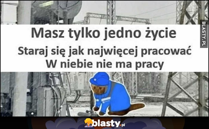 Masz tylko jedno życie, staraj się jak najwięcej pracować, w niebie nie ma pracy