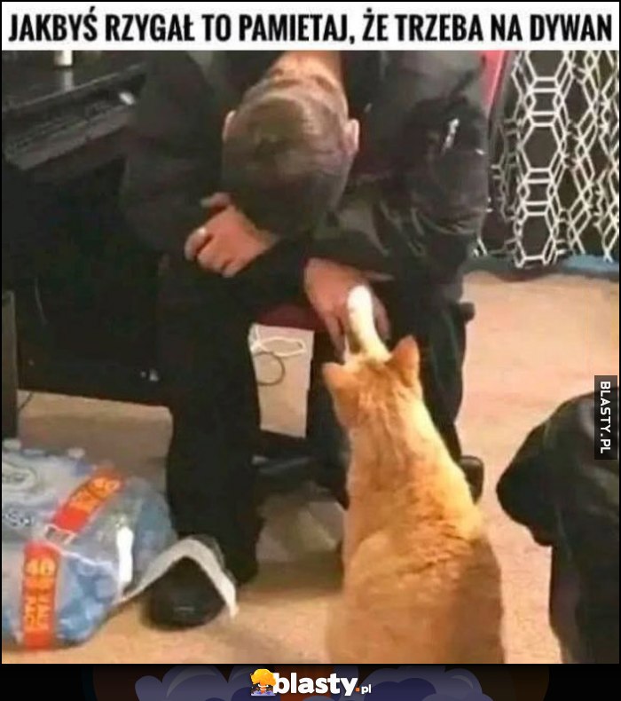 Facet źle się czuje, kot: jakbyś rzygał to pamiętaj, że trzeba na dywan