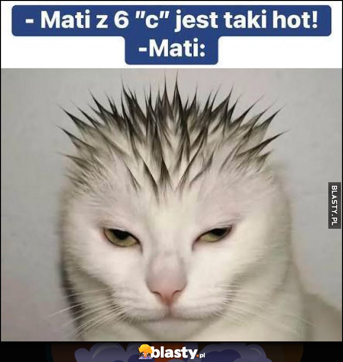 Mati z 6C jest taki hot, tymczasem jak wygląda Mati kot