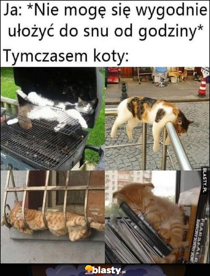 Ja: nie mogę się wygodnie ułożyć do snu od godziny, tymczasem koty śpią w niewygodnych pozycjach