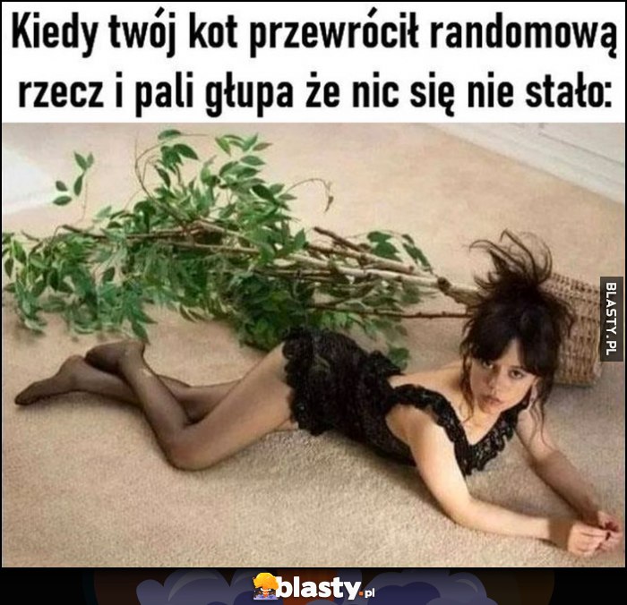 Kiedy twój kot przewrócił randomową rzecz i pali głupa, że nic się nie stało Jenna Ortega