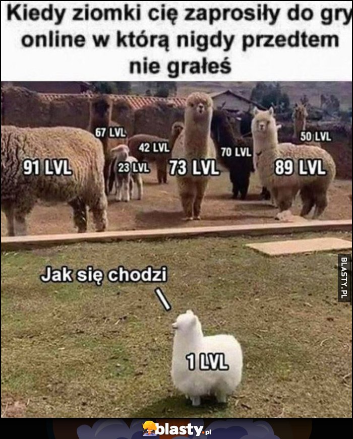 Kiedy ziomki cię zaprosiły do gry online w którą nigdy przedtem nie grałeś jak się chodzi 1 lvl lama