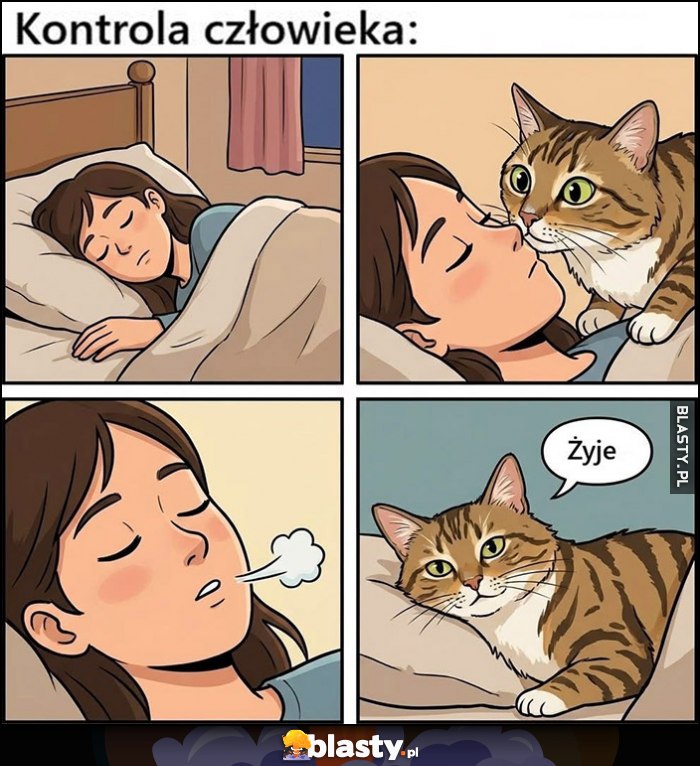 Kontrola człowieka, żyje kot kotek komiks