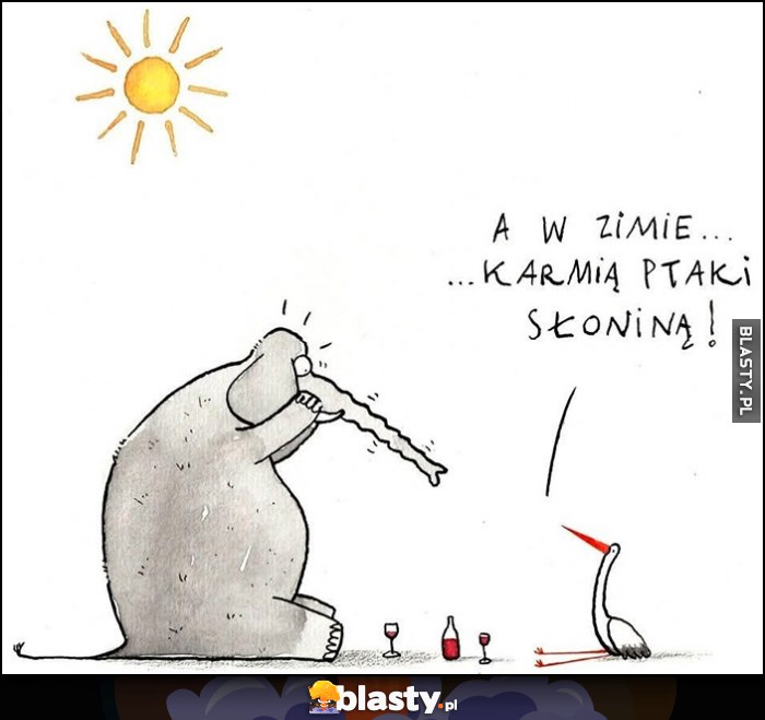 Bocian do słonia: a w zimie karmią ptaki słoniną