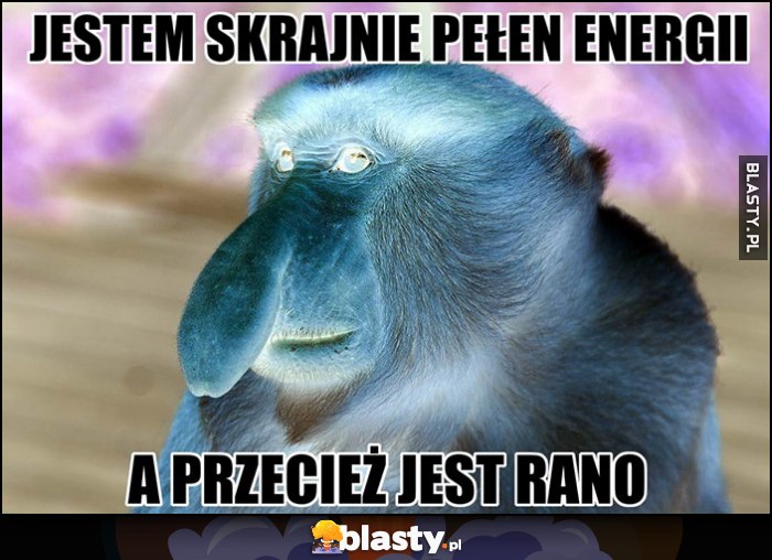 Evil nosacz Polak: jestem skrajnie pełen energii, a przecież jest rano