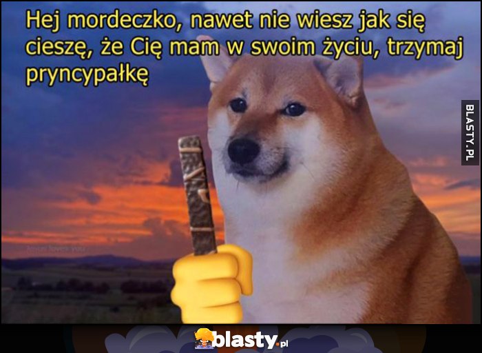 Hej mordeczko, nawet nie wiesz jak się cieszę, że Cię mam w swoim zyciu, trzymaj pryncypałkę pies pieseł