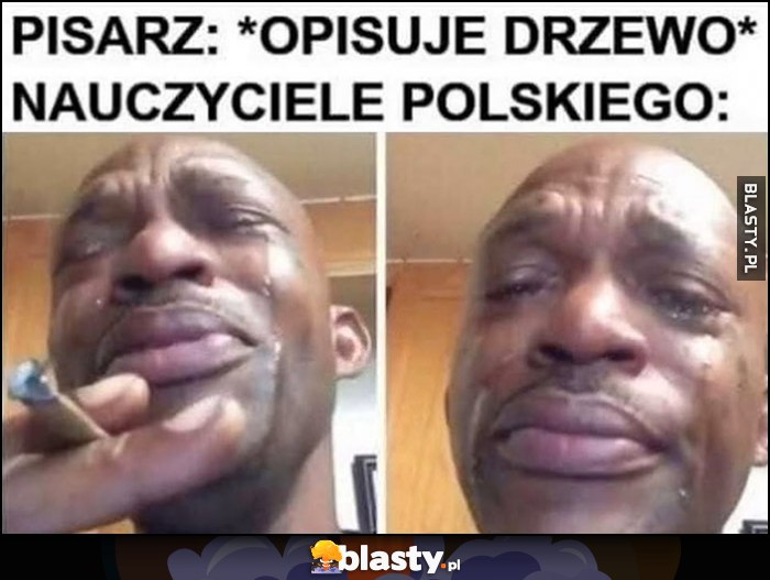 Pisarz: opisuje drzewo, nauczyciele polskiego reakcja murzyn płacze