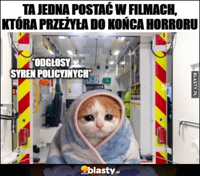 Ta jedna postać w filmach, która przeżyła do końca horroru, kotek w tle odgłosy syren policyjnych