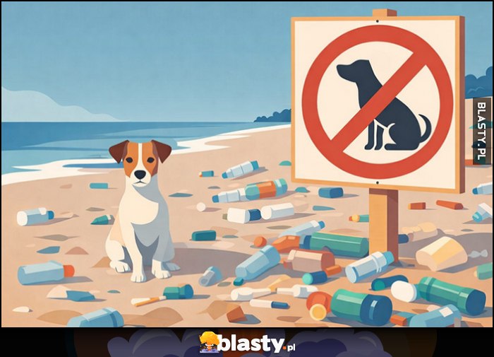 Zakaz piesków na plaży