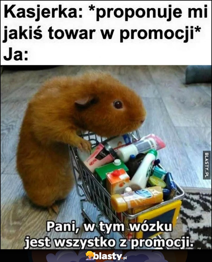 Kasjerka: proponuje mi jakiś towar w promocji, ja: pani, w tym wózku jest wszystko z promocji