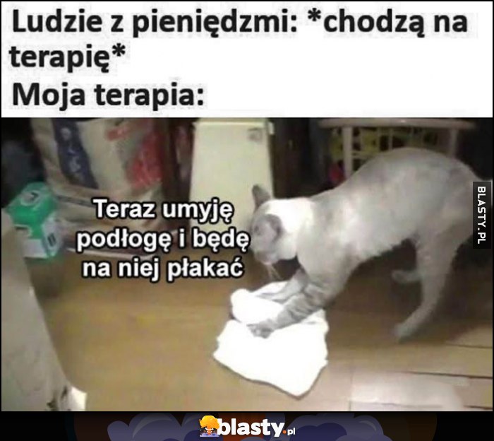 Ludzie z pieniędzmi: chodzą na terapię, tymczasem moja terapia: teraz umyję podłogę i będę na niej płakać kot kotek