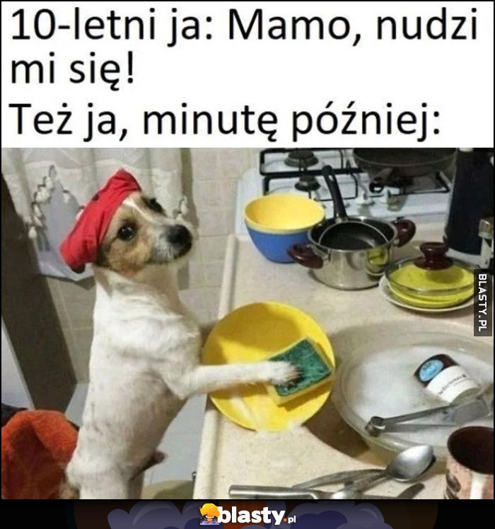 10-letni ja: mamo, nudzi mi się. Też ja, minutę później piesek zmywa naczynia