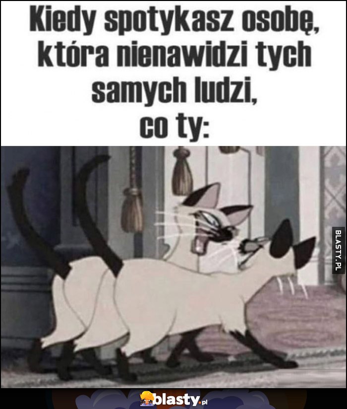 Kiedy spotykasz osobę, która nienawidzi tych samych ludzi, co ty