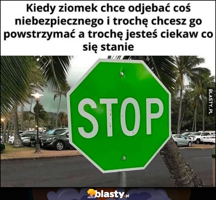 Kiedy ziomeczek chce odwalić coś niebezpiecznego i trochę chcesz go powstrzymać, a trochę jesteś ciekaw co się stanie zielony znak stop
