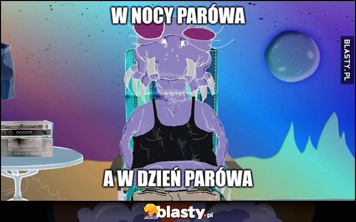 W nocy parówa a w dzień parówa evil kapitan bomba