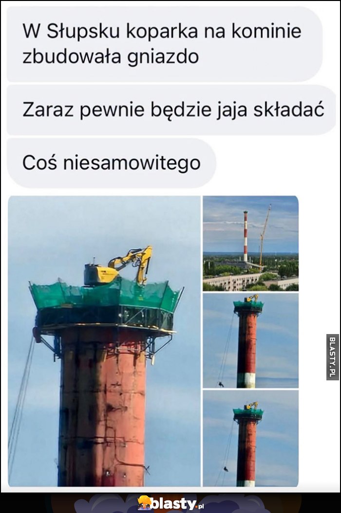 W Słupsku koparka na kominie zbudowała gniazdo zaraz pewnie będzie jaja składać, coś niesamowitego