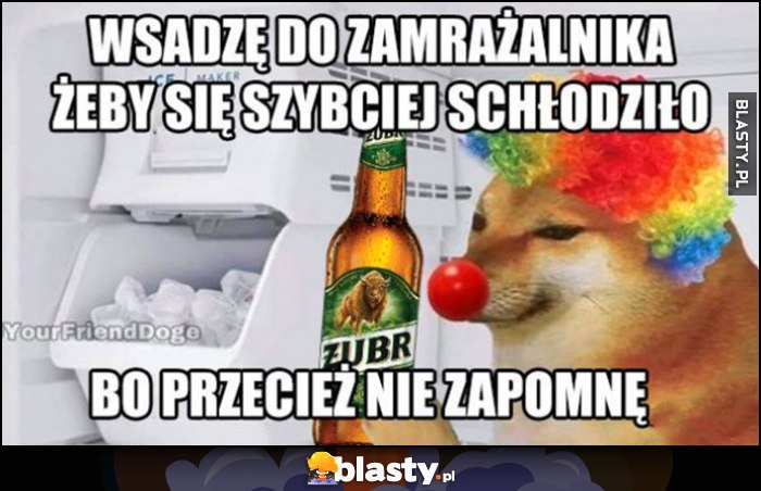 Wsadzę to piwo Żubr do zamrażalnika, żeby się szybciej schłodziło, bo przeciez nie zapomnę pies pieseł doge cheems klaun