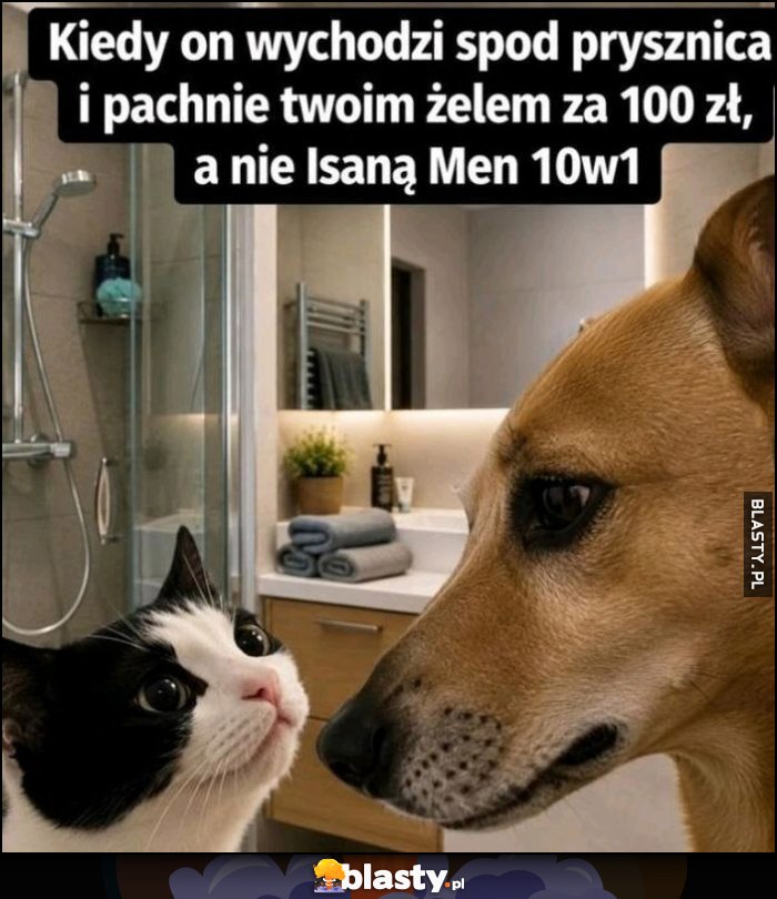 Kiedy on wychodzi spod prysznica i pachnie twoim żelem za 100 zł a nie Isaną Men 10w1 kot kotek pies piesek