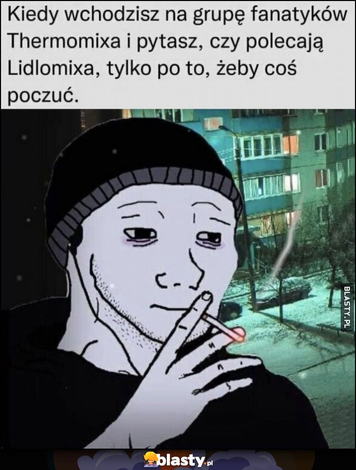 Kiedy wchodzisz na grupę fanatyków thermomixa i pytasz czy polecają Lidlomixa, tylko po to, żeby coś poczuć