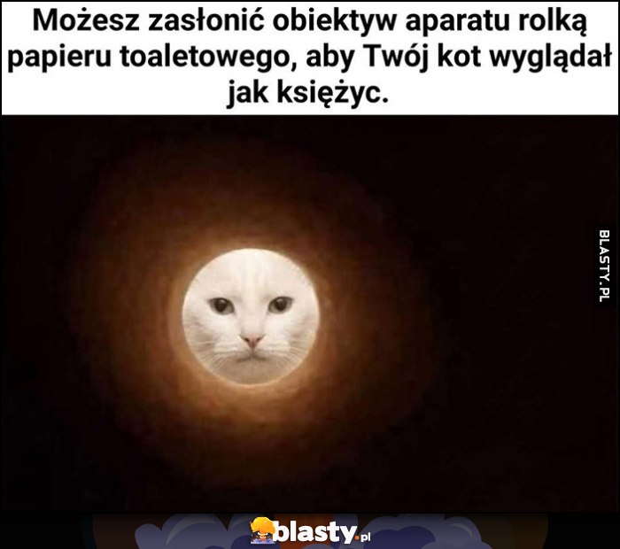 Możesz zasłonić obiektyw aparatu rolką papieru toaletowego, aby Twój kot wyglądał jak księżyc